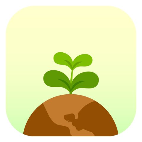 flora focus habit tracker app