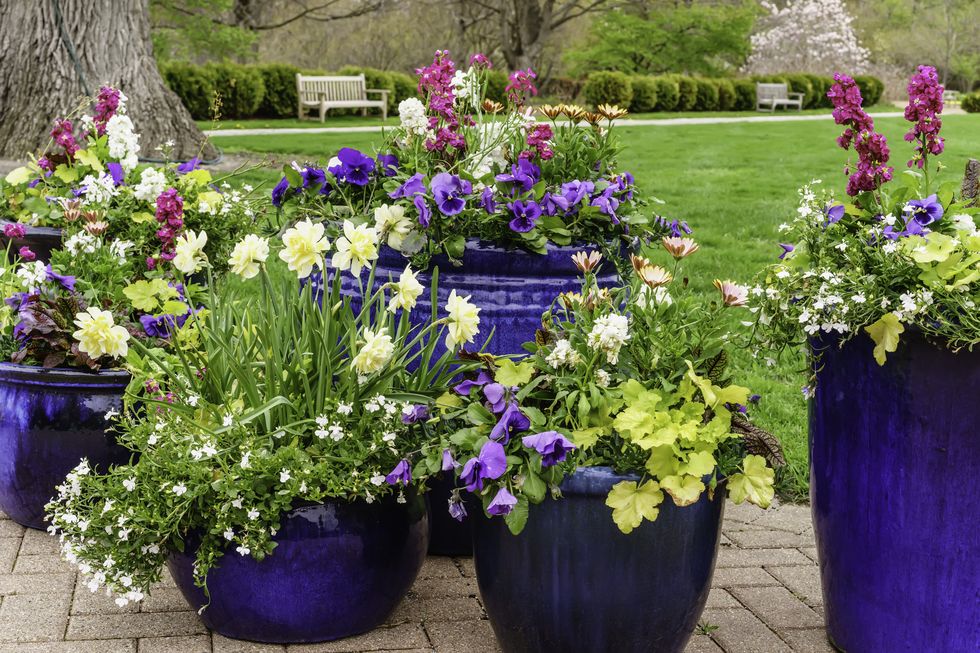 floral arrangement in spring