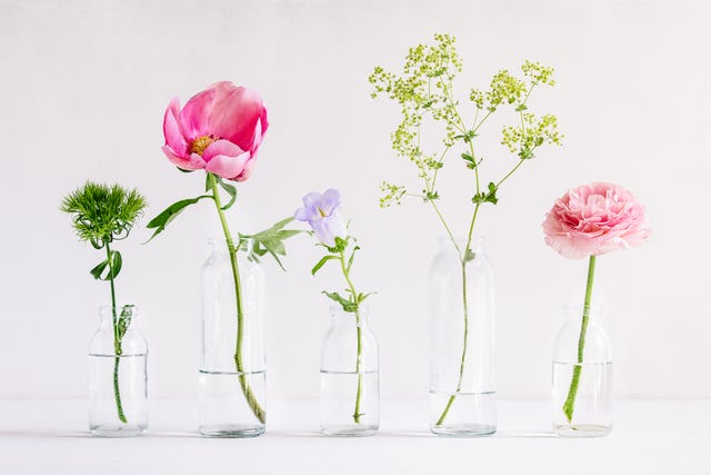 flores en botellas de cristal como jarrones
