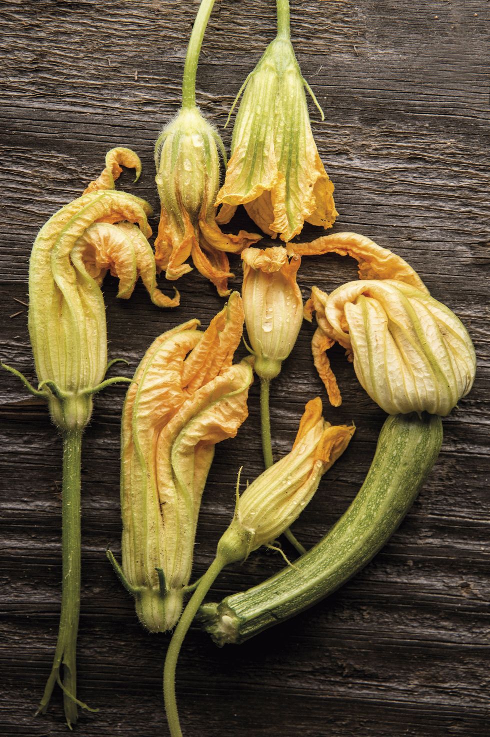 flores de calabacin que se pueden comer
