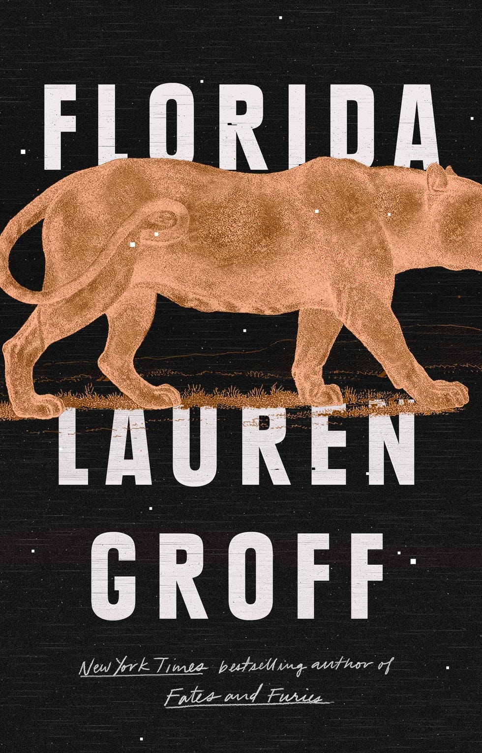 Florida by Lauren Groff Best short stories