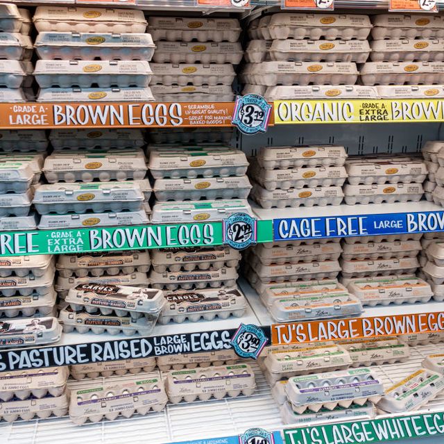 florida, miami beach, trader joe's, grocery store, refrigerated egg aisle, organic, cage free, brown, pasture raised