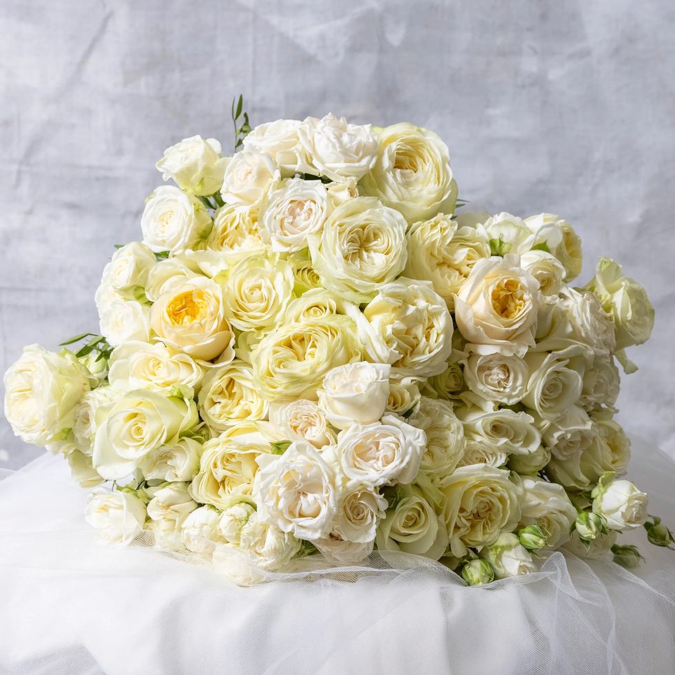 The Ivory Rose Bouquet – Paul Thomas Flowers