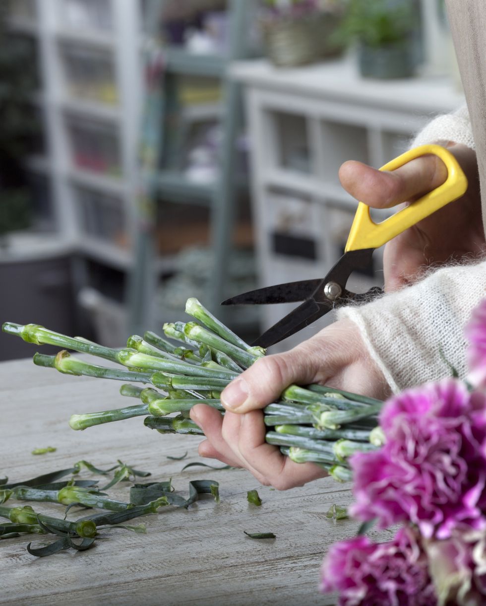 florist cutting flower with pruning shears