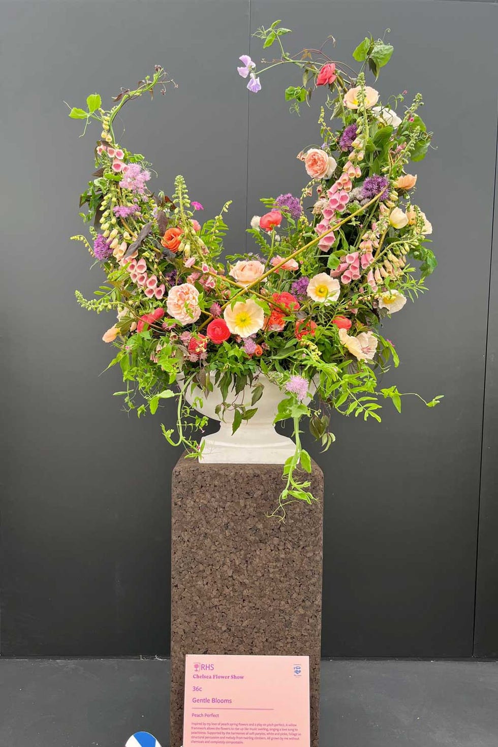 rhs chelsea floristry and floral design competition