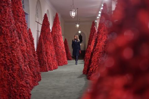 the white house at christmastime in 2018