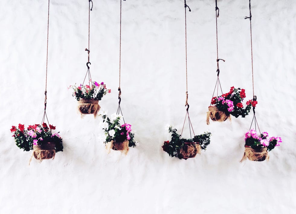 small garden ideas — hanging flowers