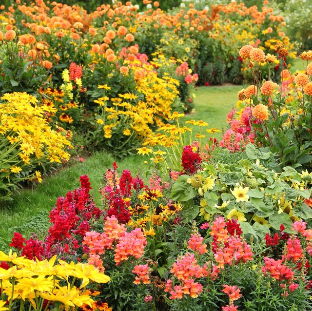 25 Best Flower Bed Ideas for Your Prettiest Garden Yet