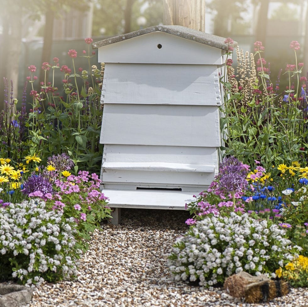 flower bed ideas flower bed ideas beehive