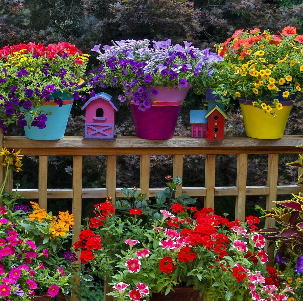 flower bed ideas flower bed ideas colorful pots