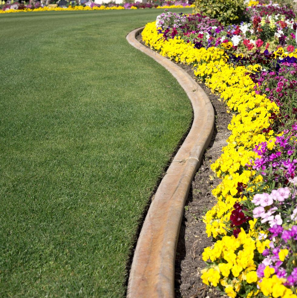 flower bed ideas curves