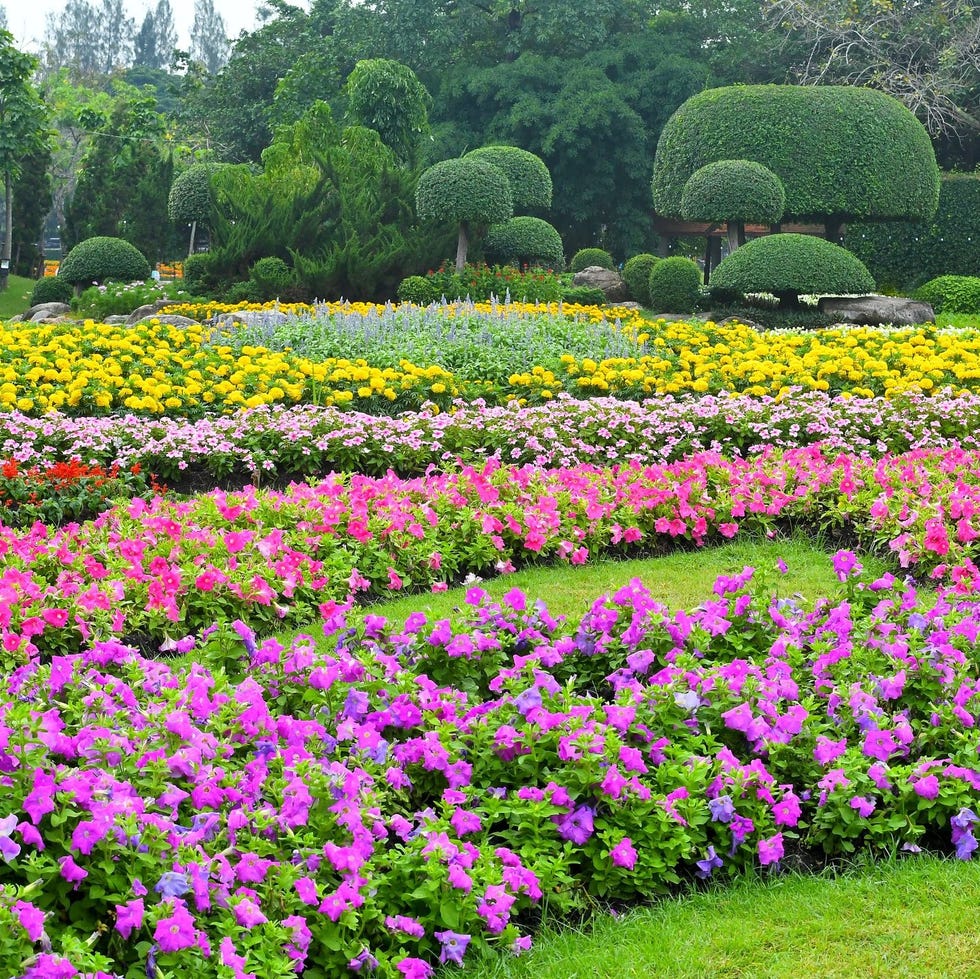 flower bed ideas Sorting flower bed ideas by color