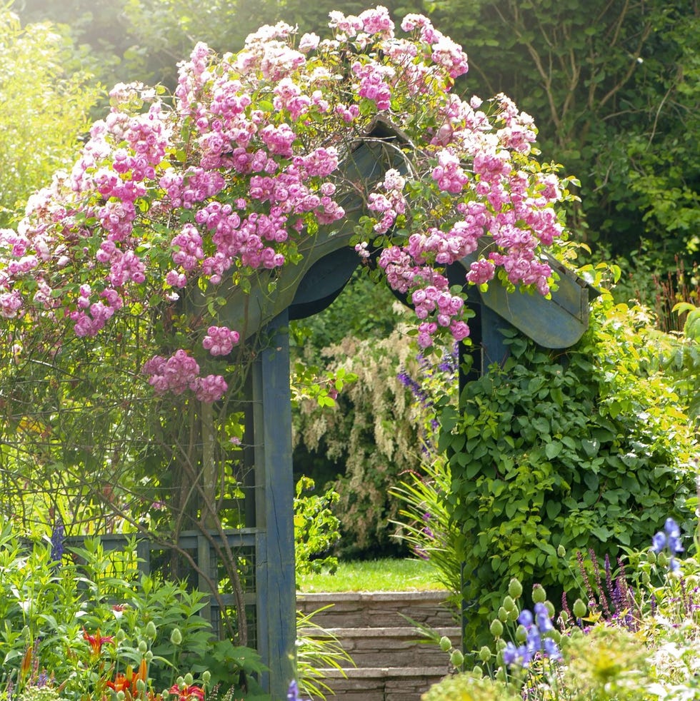 flower bed ideas flower bed ideas entrance