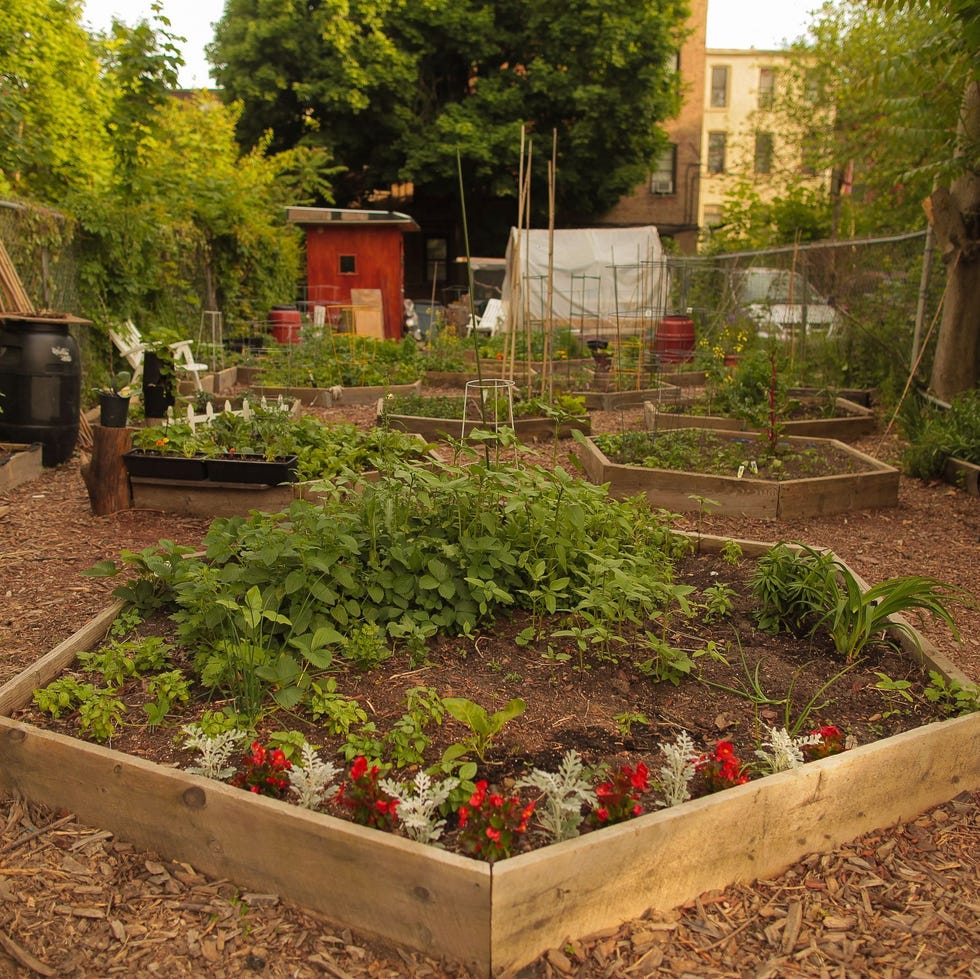 flower bed ideas hexagon flower bed ideas hexagon