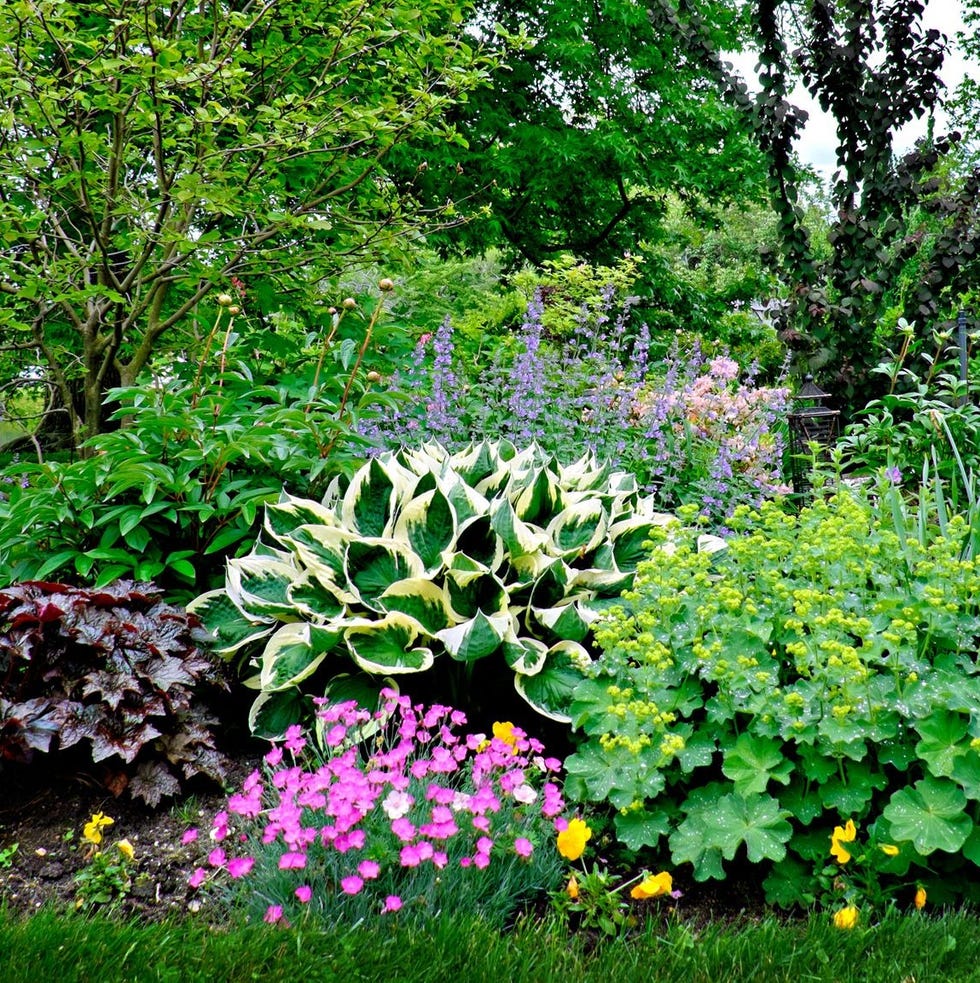 flower bed ideas flower bed ideas mix