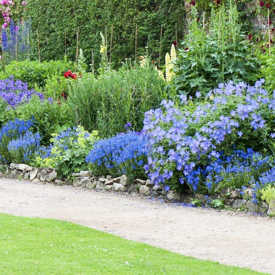 flower bed ideas flower bed ideas monochrome