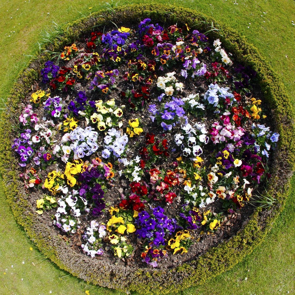 flower bed ideas flower bed ideas round