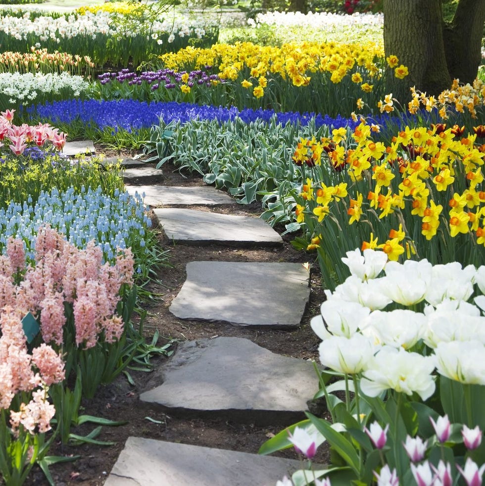 flower bed ideas flower bed ideas stone path