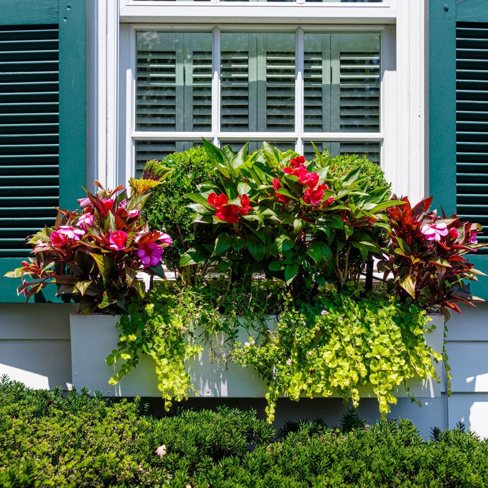 flower bed ideas flower bed ideas window box