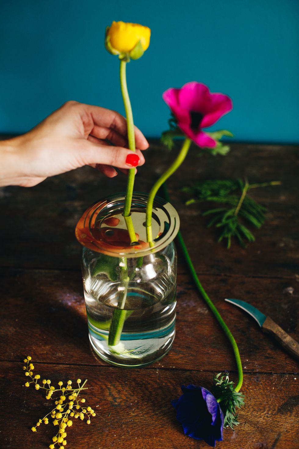 Flower, Plant, Mason jar, Plant stem, Vase, Petal, Still life photography, Tulip, Still life, Flowering plant, 