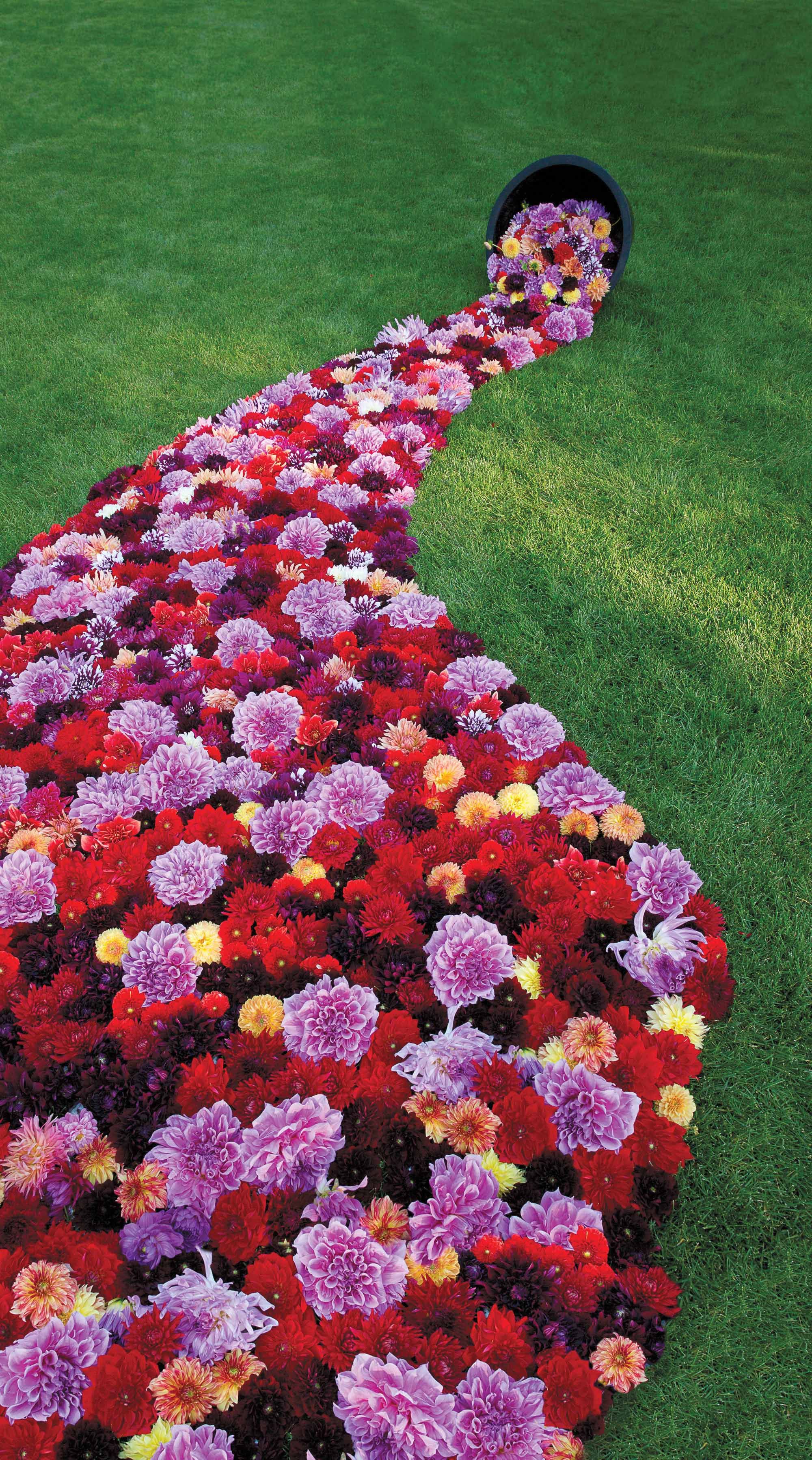 Transform Your Garden with Beautiful Flower Decorations: A Comprehensive Guide