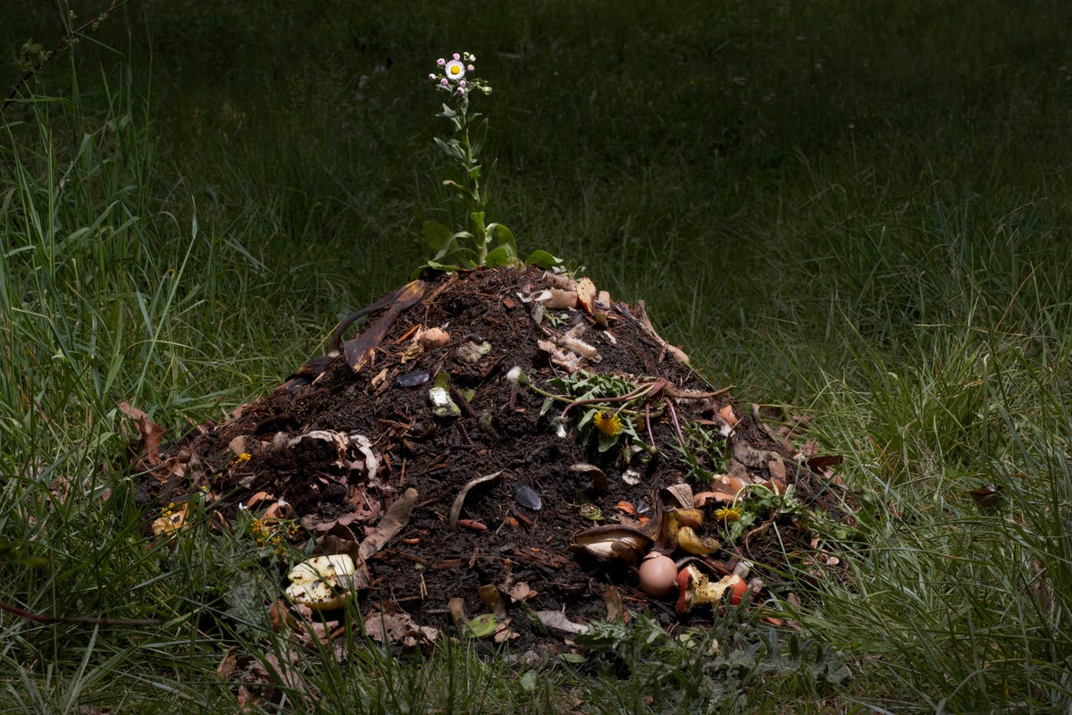 Building a Compost Bin (6 Ways) - Tenth Acre Farm