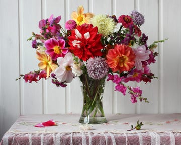 flower meanings, bright autumn bouquet of dahlias and asters on the table