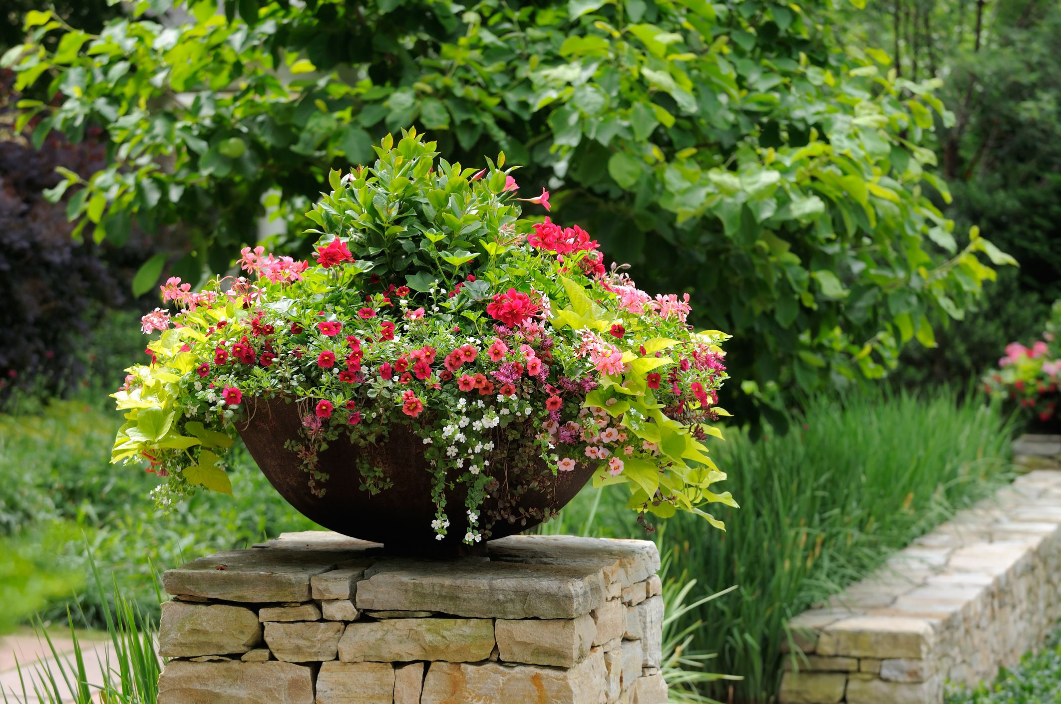 The 7 Do's and Don'ts of Garden Containers