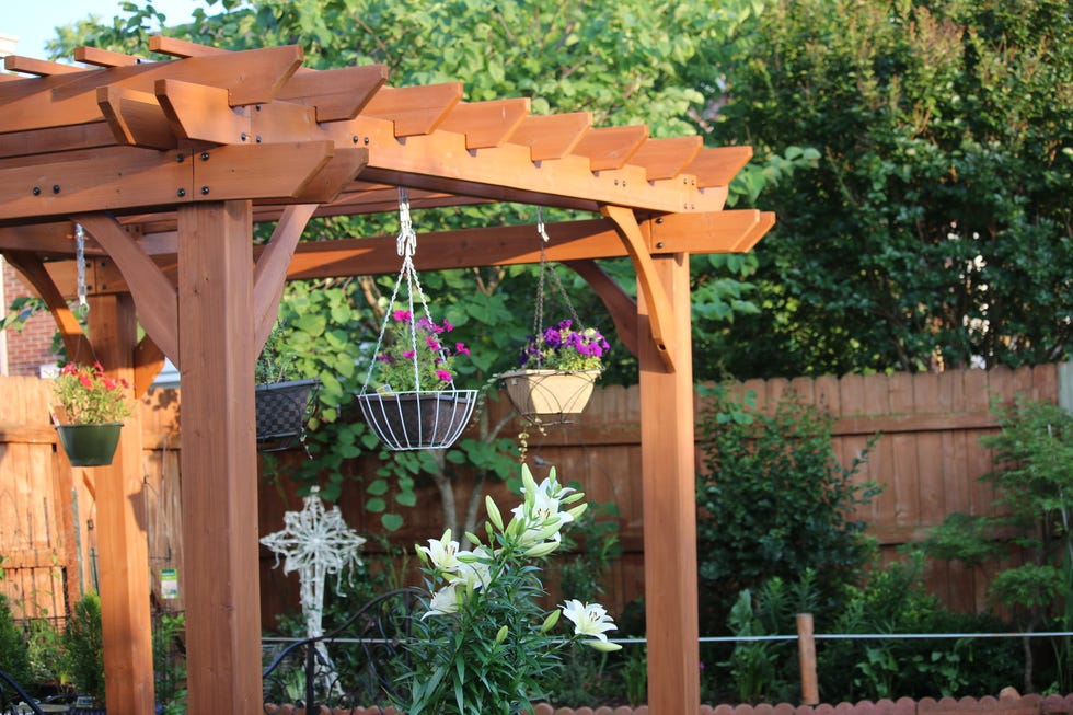 flower pots hanging from gazebo in garden