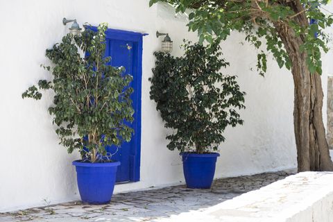 flower pots in Greece