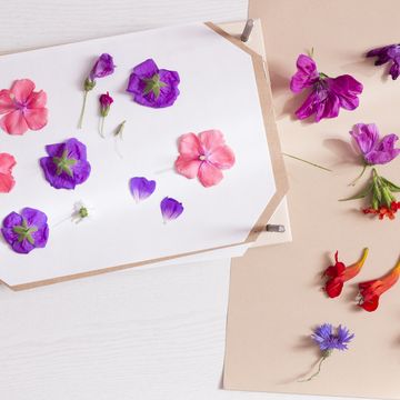 flower press with pink and purple flowers on it