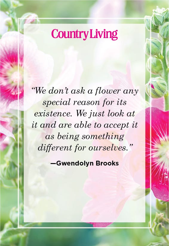 quote about flowers from gwendolyn brooks