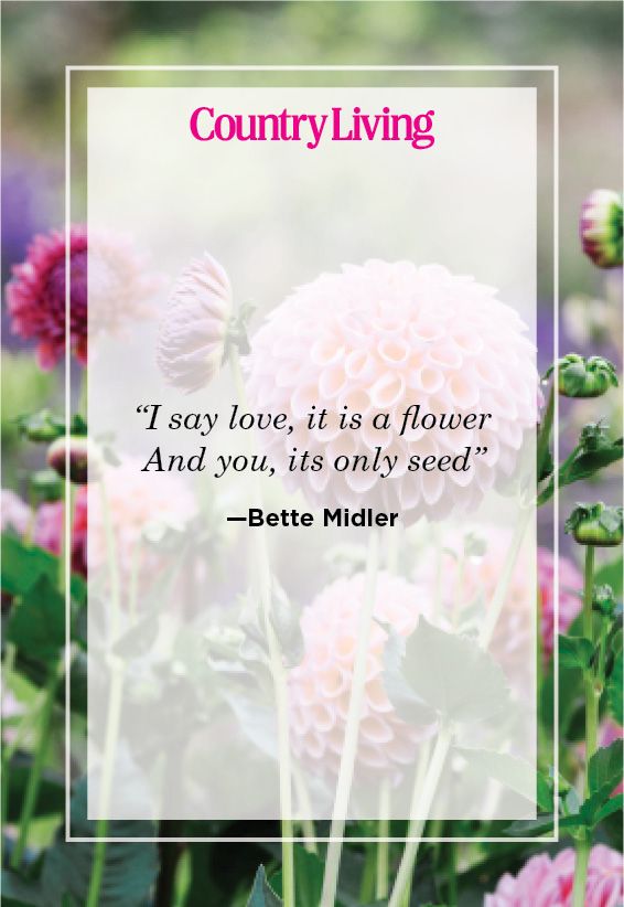 flower quote by bette midler