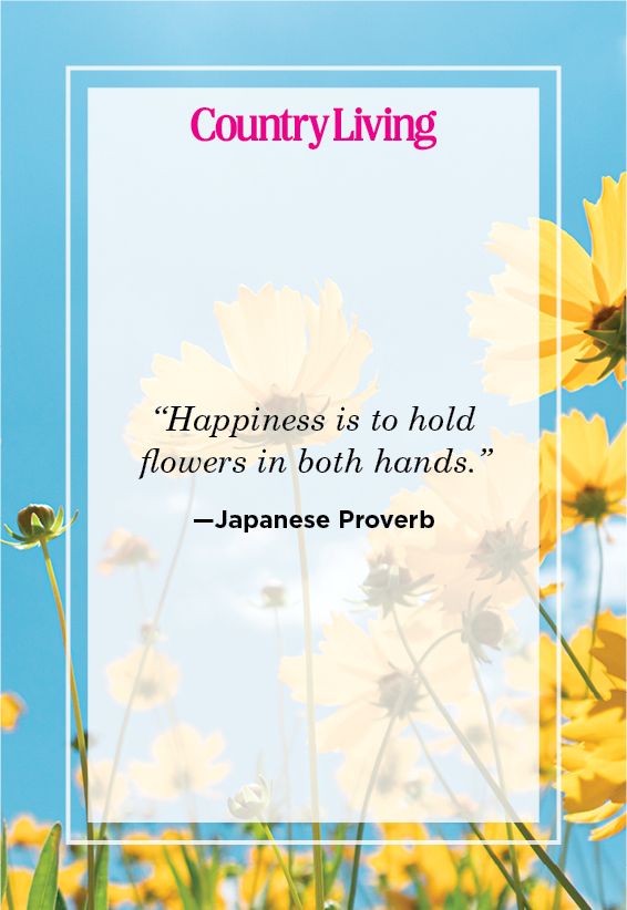 japanese proverb about flowers