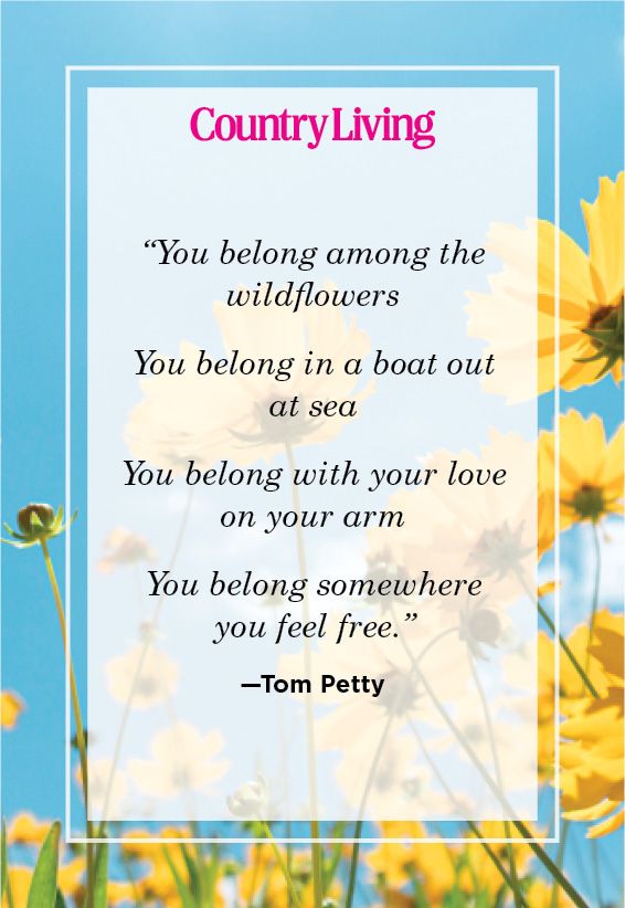 tom petty wildflowers quote