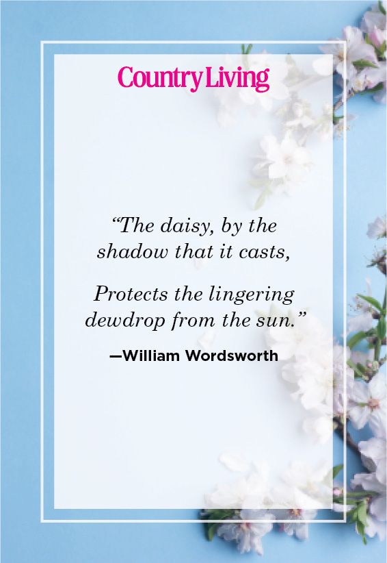 william wordsworth quote about flowers