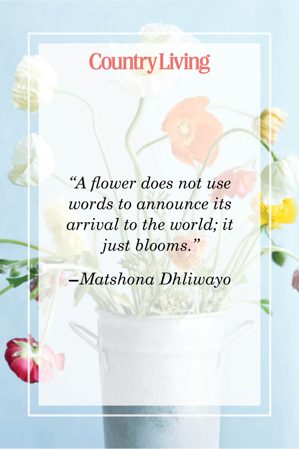flower quote by matshona dhliwayo