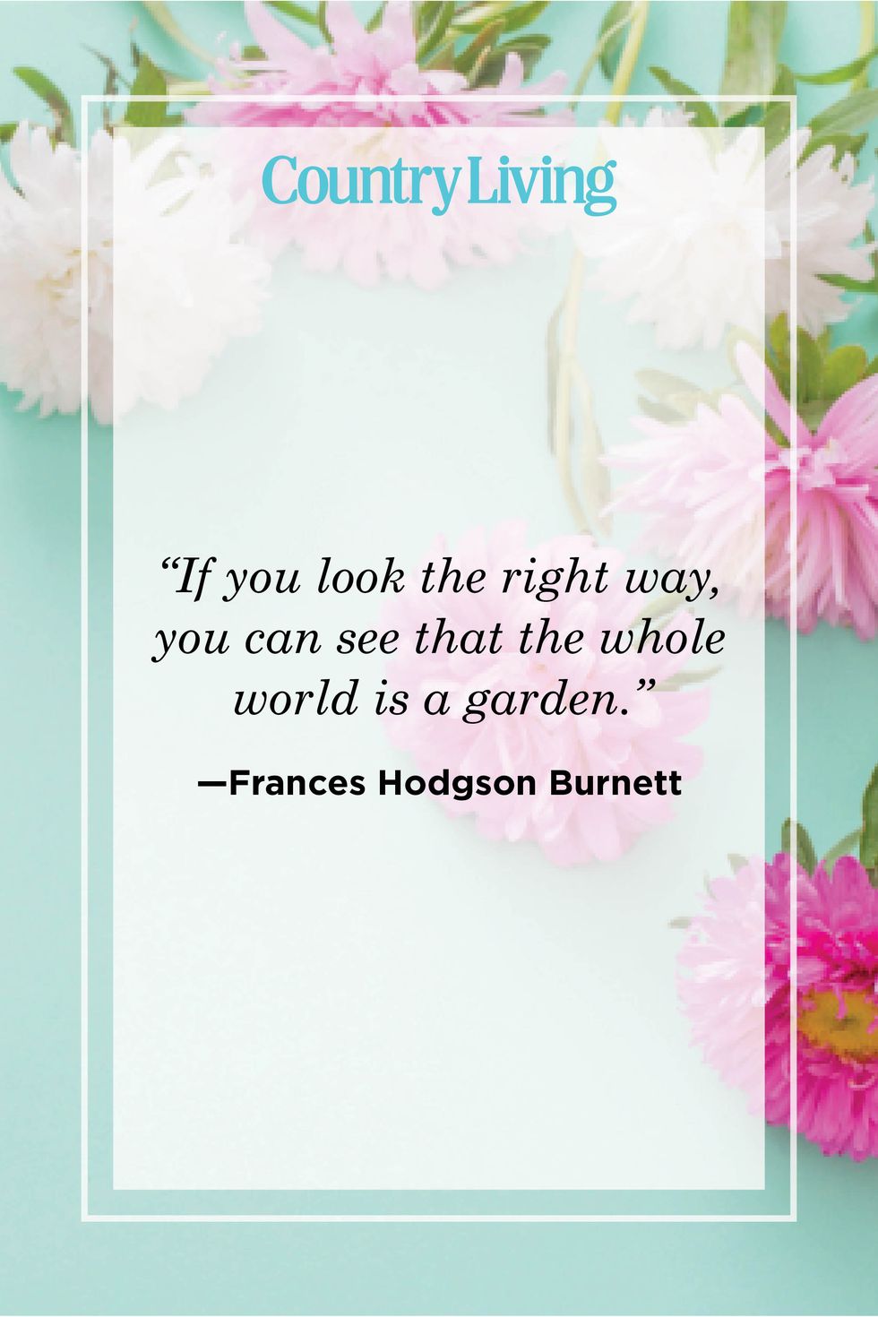 flower quote by frances hodgson burnett