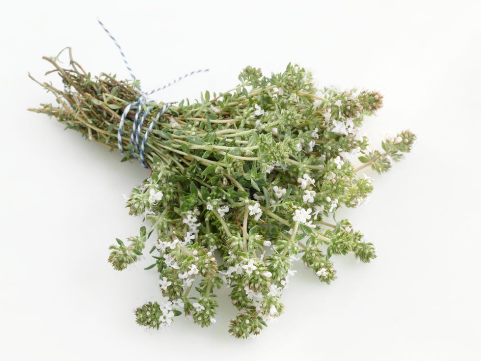 tomillo planta aromatica cocinar