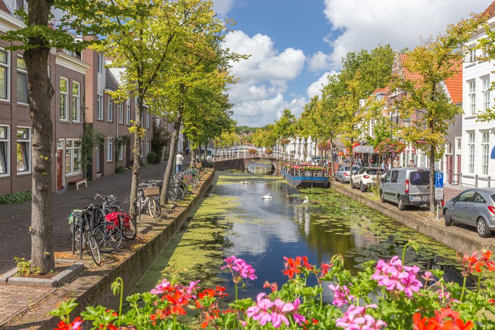 flowers and canal in delft