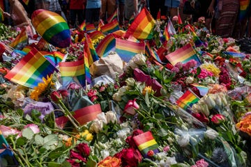 fiori e bandiere arcobaleno