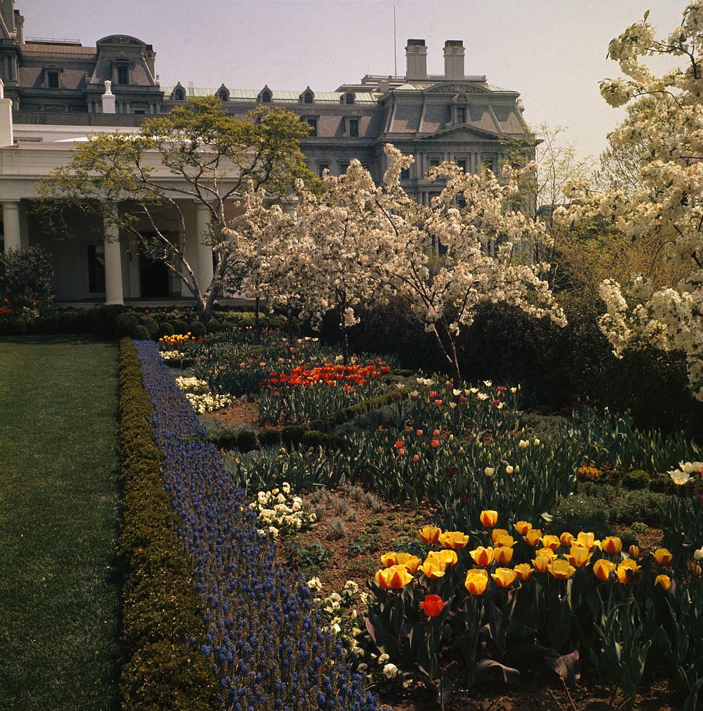 White House Rose Garden History - Melania Trump's Changes to