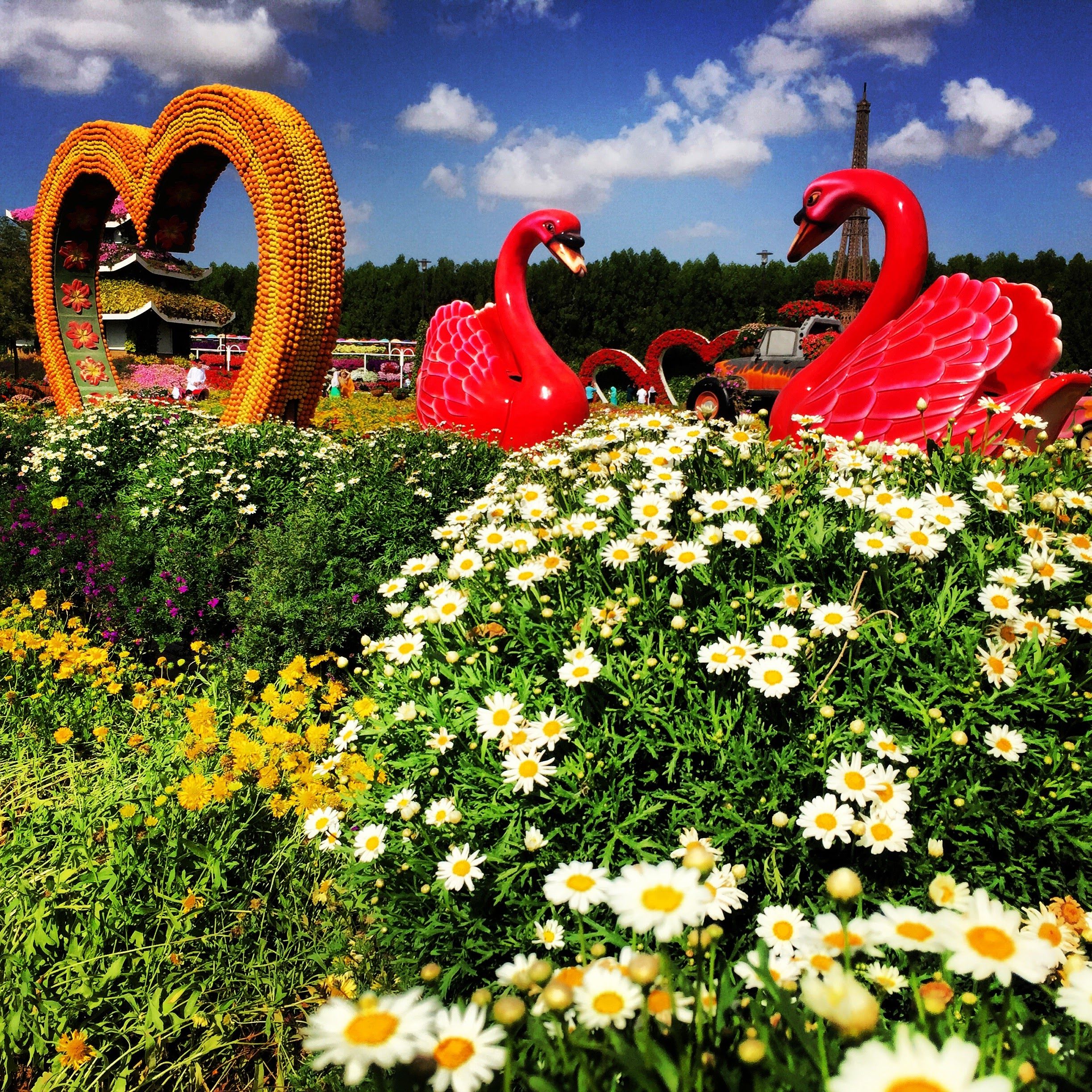 Dubai Miracle Garden: A Virtual Tour Of The Famous Flower Garden