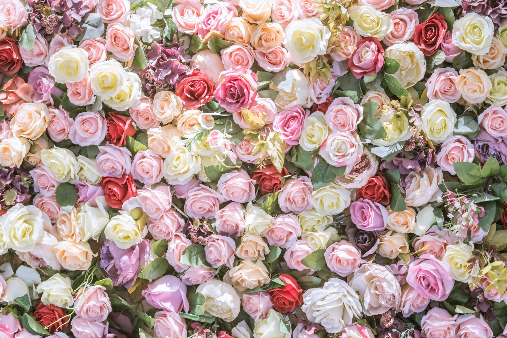 17 Rose Color Meanings Explained - The Best Rose Colors