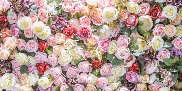 22 Rose Color Meanings: What Does Each Shade Symbolize? - Color Meanings