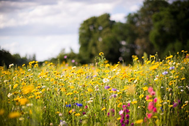 How many bank holidays are there in 2025?