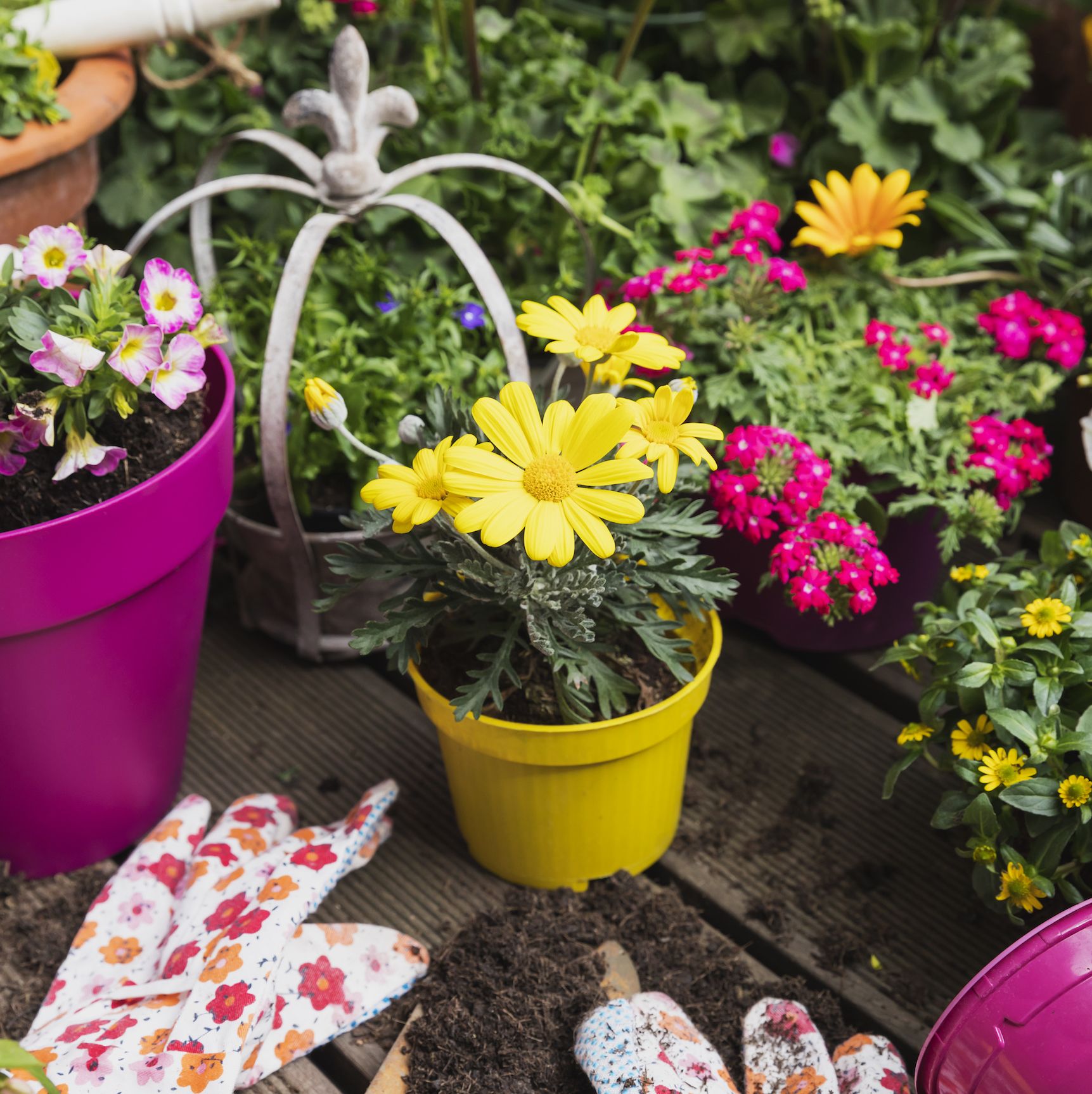 7 surprising mental and physical benefits of gardening