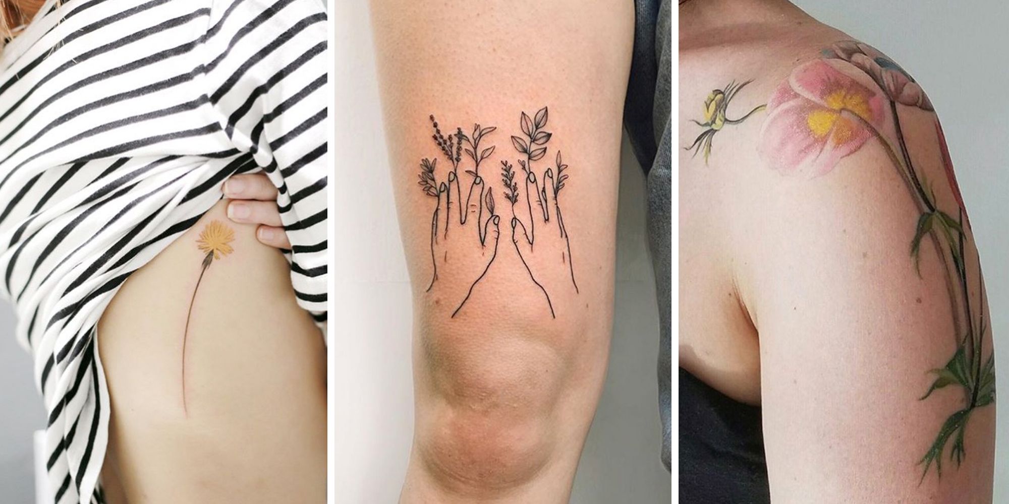 Premium Vector  Set of cute botanical minimalist tattoos dandelion a simple  twig glued with a plaster