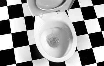 flushing toilet bowl