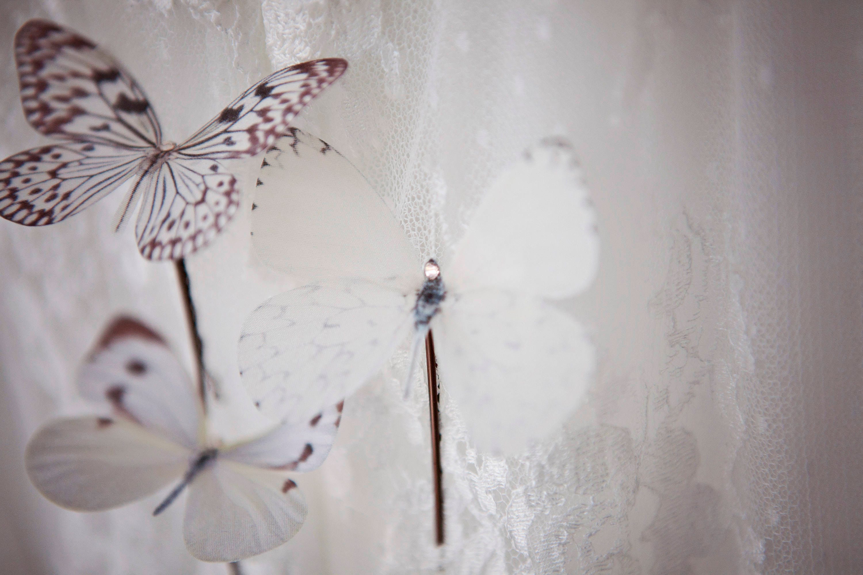butterfly clips